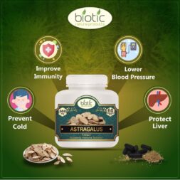 Astragalus Extract Capsules ( अस्ट्रागालुस कैप्सूल )