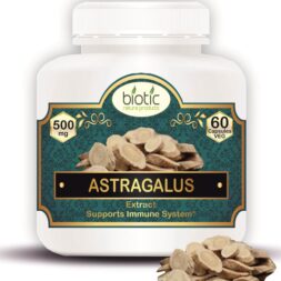 Astragalus Capsule