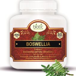 Boswellia serrata Extract Capsules,Indian frankincense