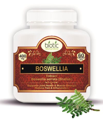 Boswellia serrata Extract Capsules,Indian frankincense