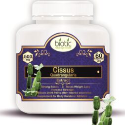 Cissus Quadrangularis Extract