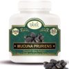 Mucuna Pruriens Extract (Kaunch Beej/Kapikachhu)