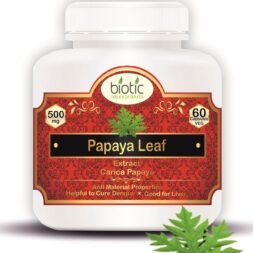 Buy Biotic Papaya Extract Capsules Online Dengue Malaria