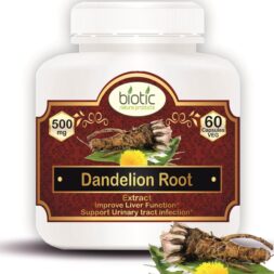 Dandelion Root Extract Capsules ( सिंहपर्णी कैप्सूल )