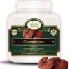 Ganoderma Capsules (Reishi Mushroom) Ganoderma Extract 500mg - 60 Veg Capsules