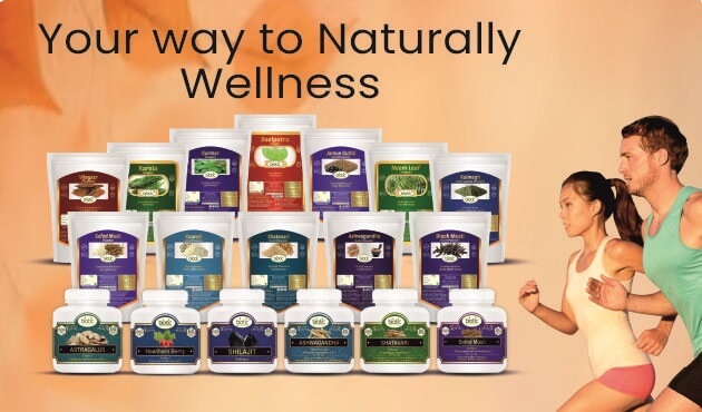 Big Banner Mobile- 3